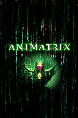 Animátrix poszter