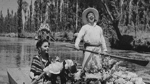 El Violetero háttérkép