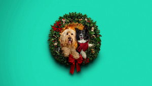 Happy Howlidays háttérkép
