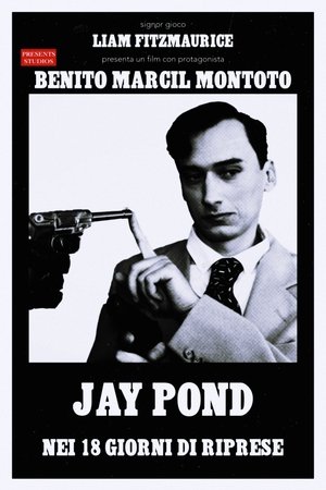 Jay Pond: Killing Time poszter