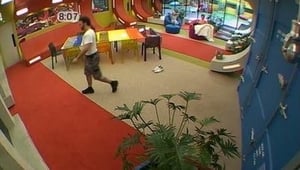 Big Brother 10. évad Ep.45 45. epizód