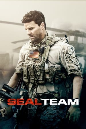 SEAL Team poszter