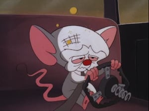 Pinky and the Brain 4. évad Ep.5 5. epizód