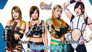 第13回 ゴッデス・オブ・スターダム ～タッグリーグ優勝決定戦～ háttérkép