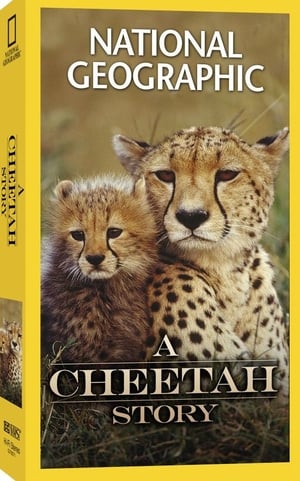 Cheetah Story poszter