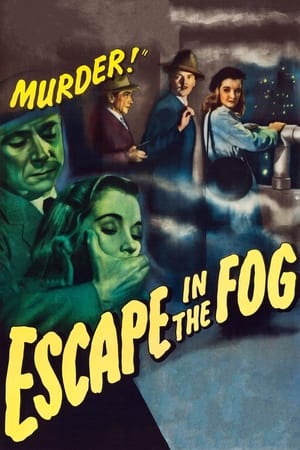 Escape in the Fog poszter