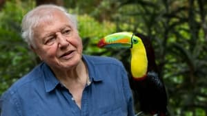 David Attenborough: Az élet színei kép