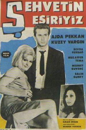 Şehvetin Esiriyiz poszter