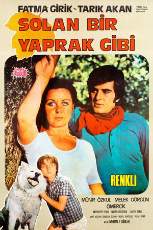 Solan Bir Yaprak Gibi poszter