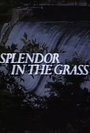 Splendor in the Grass poszter