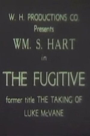The Taking of Luke McVane poszter