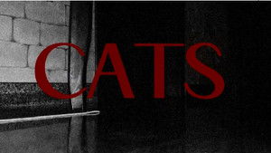 CATS háttérkép