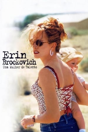 Erin Brockovich - Zűrös természet poszter