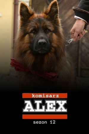 Alex felügyelő