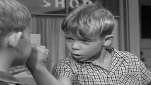 The Andy Griffith Show 2. évad Ep.1 1. epizód