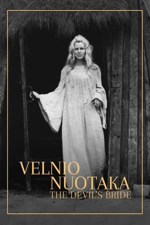 Velnio nuotaka poszter