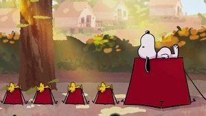 Snoopy bemutatja: Egy nyári musical háttérkép