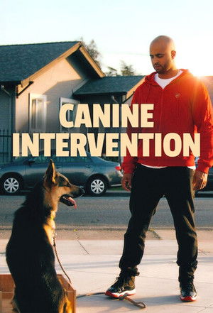 CALI K9 - Nincs reménytelen kutya