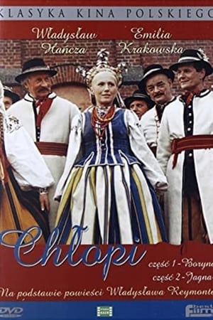 Chłopi poszter