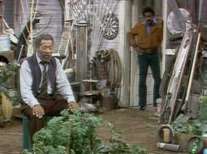 Sanford and Son Season 4 Ep.11 11. epizód