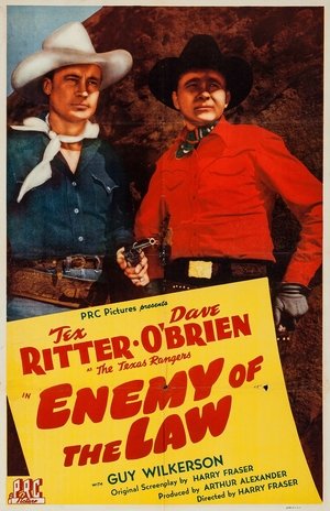 Enemy of the Law poszter