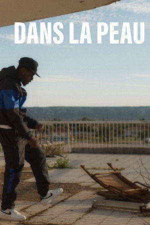 Dans la peau poszter