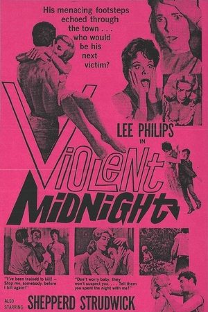 Violent Midnight poszter