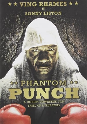 Phantom Punch poszter