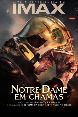 A Notre-Dame lángokban poszter