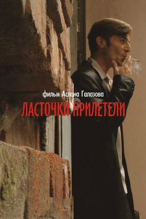 Ласточки прилетели poszter