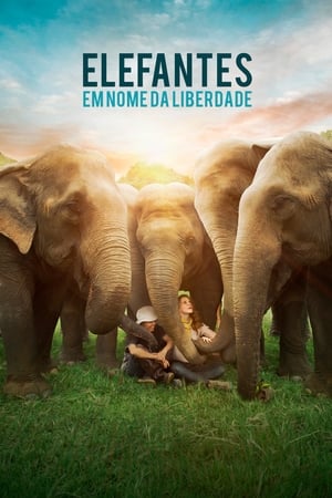 Love & Bananas: An Elephant Story poszter