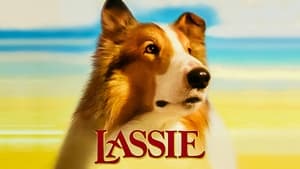 Lassie- Az igazi barát háttérkép