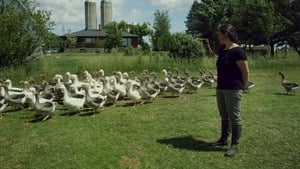 La ferme et son état háttérkép