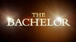 The Bachelor kép