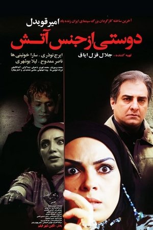 دوستی از جنس آتش poszter