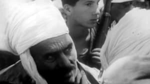 Algérie 1962: Chronique d'un conflit háttérkép