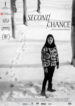 Second Chance poszter