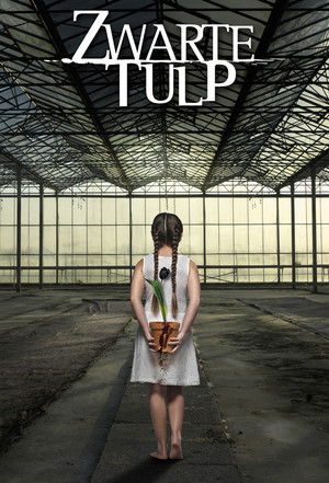 Zwarte Tulp