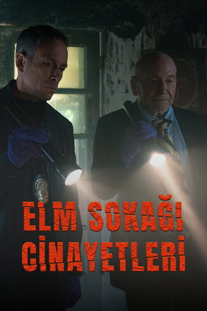 The Real Murders on Elm Street poszter