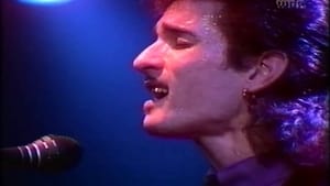 Willy DeVille: Live in the Lowlands háttérkép