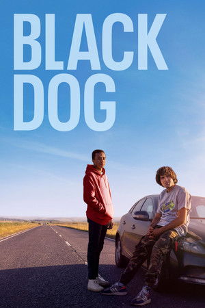 Black Dog poszter