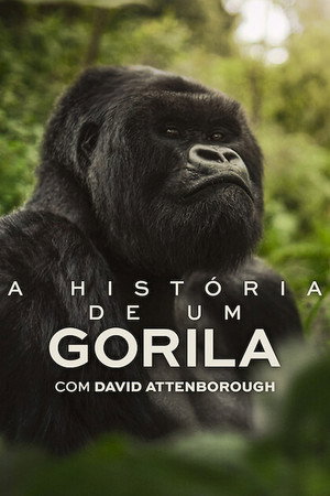 David Attenborough: Gorillák között poszter