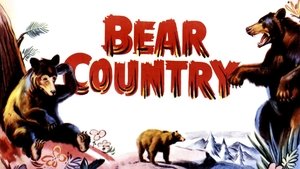 Bear Country háttérkép