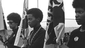 The Black Panthers: Vanguard of the Revolution háttérkép