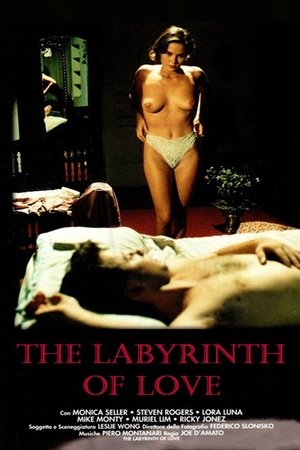 Il labirinto dei sensi poszter