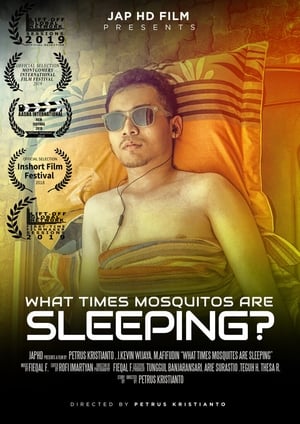 What Times Mosquitos Are Sleeping? poszter