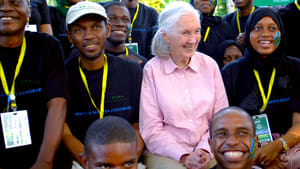 Jane Goodall: A remény háttérkép