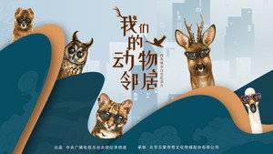 我们的动物邻居 kép