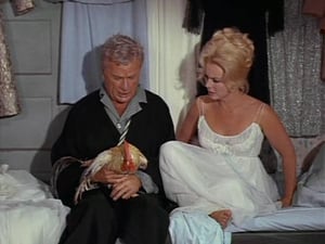 Green Acres Season 1 Ep.5 5. epizód