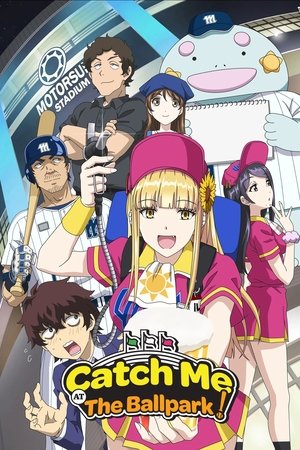 ボールパークでつかまえて！ poszter